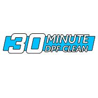 30 Minute DPF Clean image 1